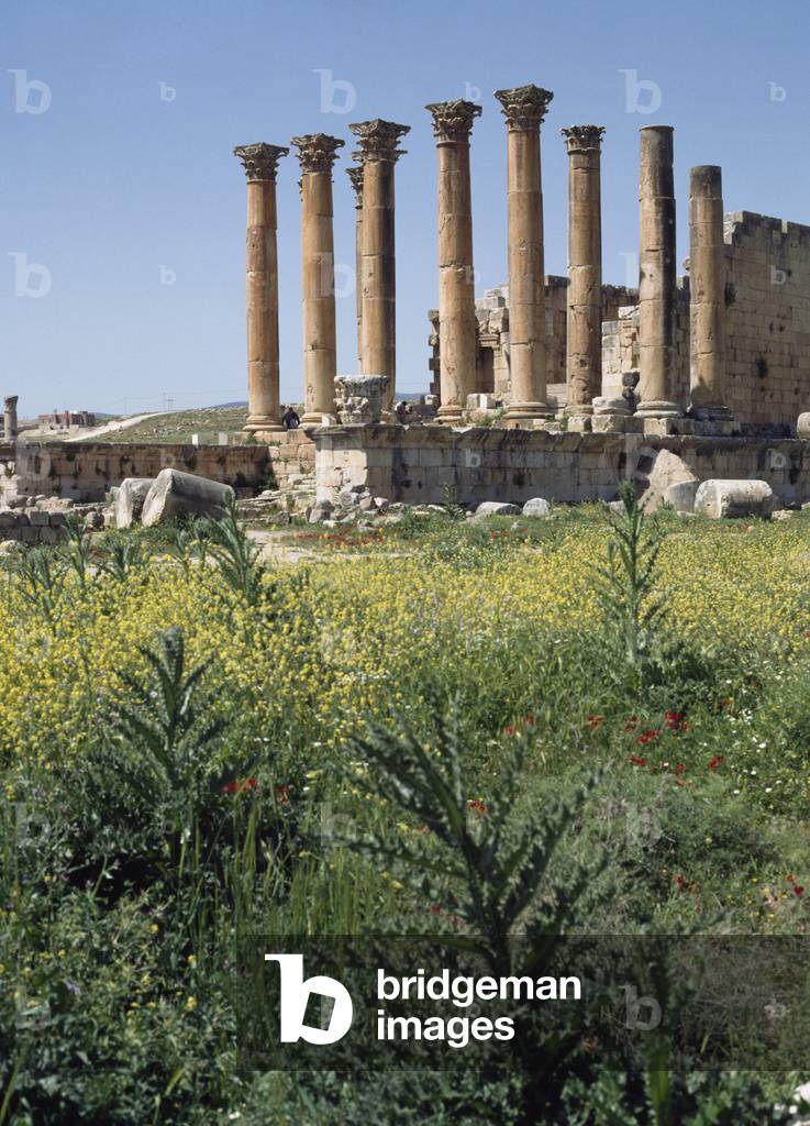 The ruins at Jerash, Jordan (photo)