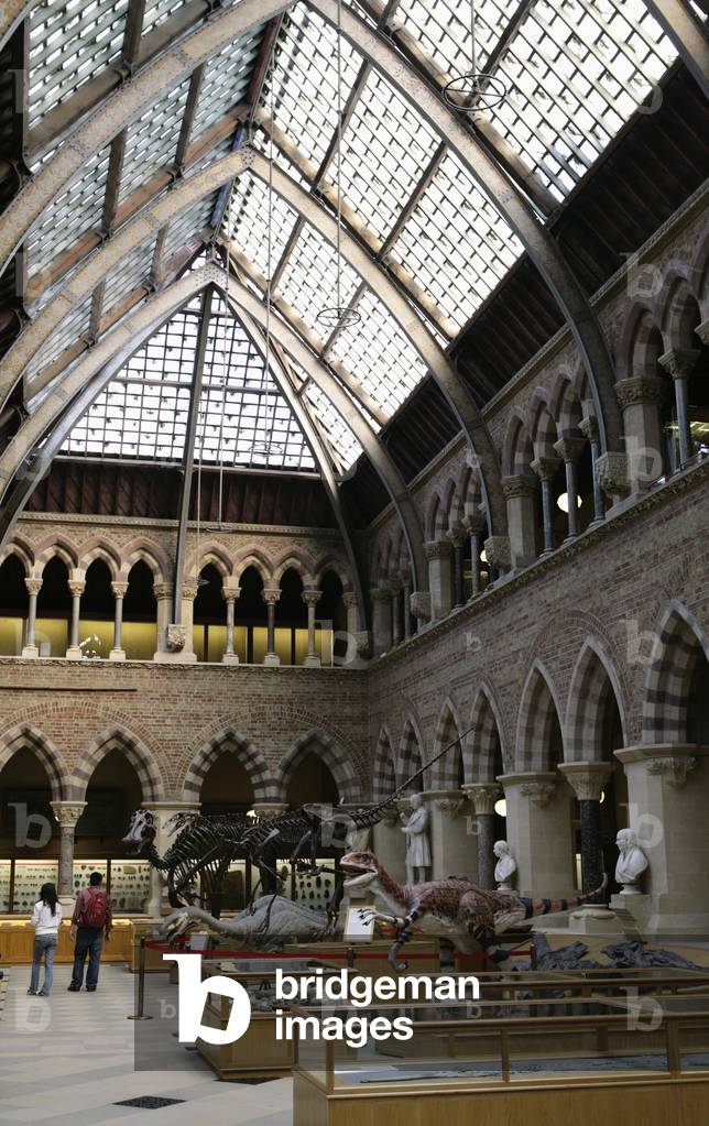Museum of Natural History, Oxford, England, UK (photo)