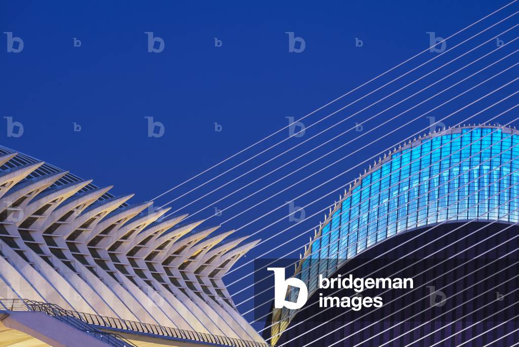 View of El Pont De L'assut De L'or and L'agora in Ciudad De Las Artes Y Las Ciencias (City of Arts and Sciences), Valencia, Spain (photo)