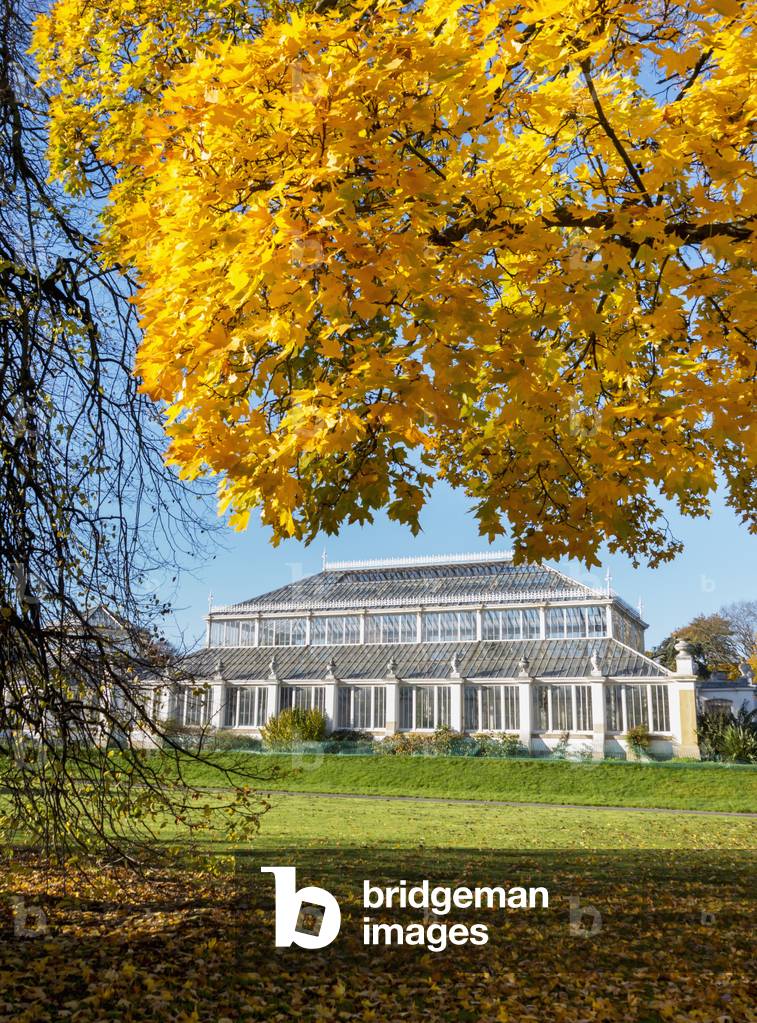 Kew Gardens Temperate House, London, England, UK  (photo)