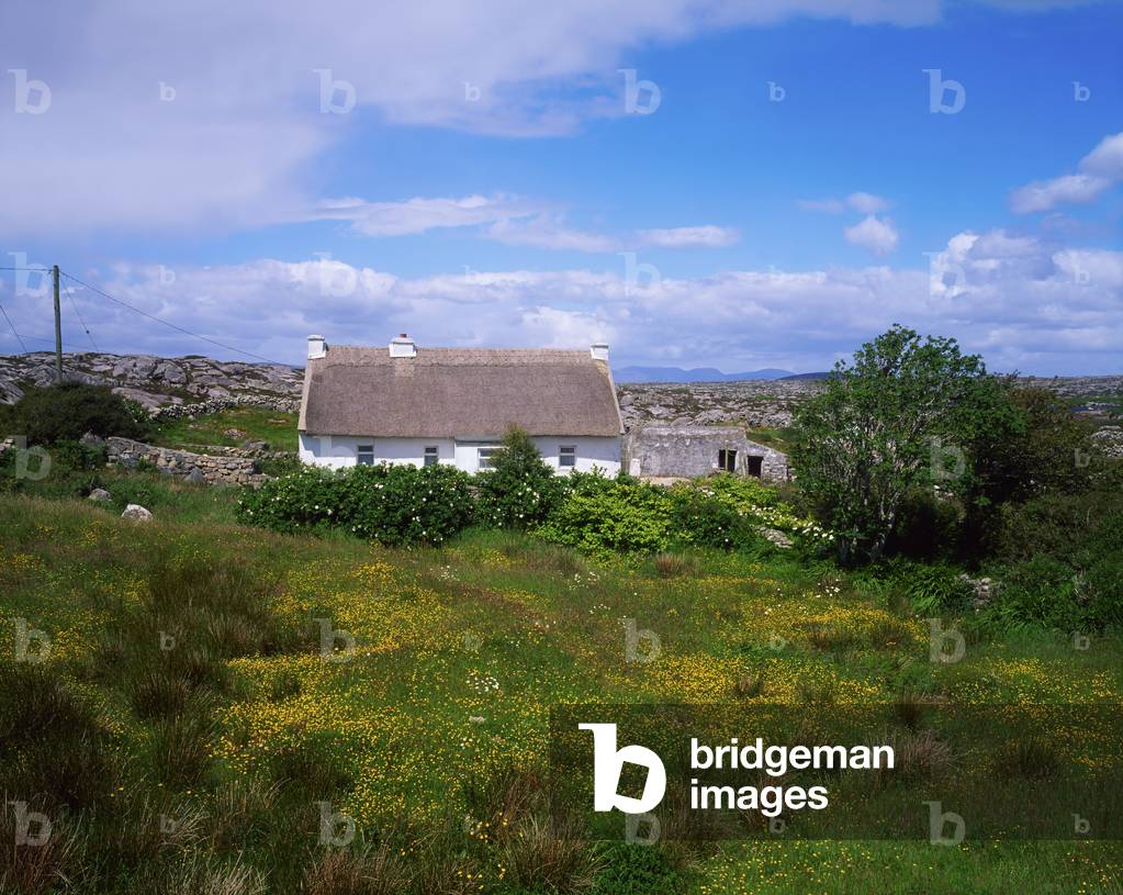 Gorumna Island, Connemara, Co Galway, Ireland (photo)