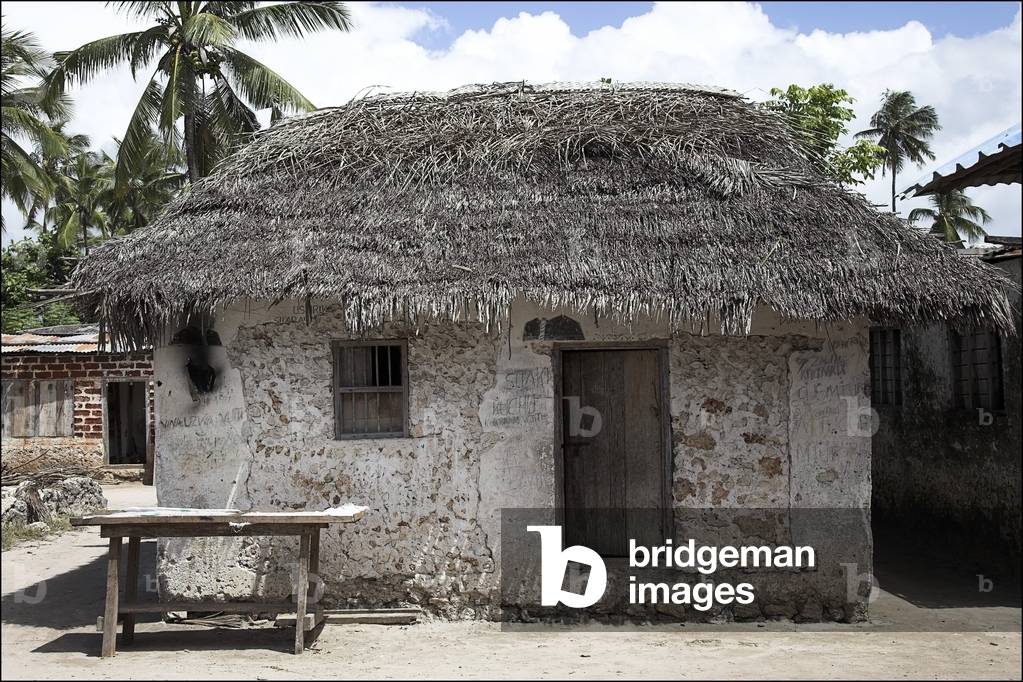 Village Hut with Thatched Roof, Pwani Mchangani, Zanzibar, Africa (photo)