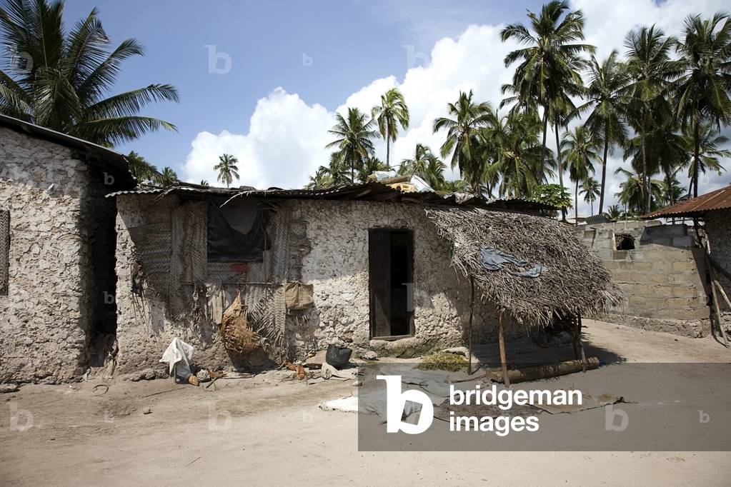 Village Hut, Pwani Mchangani, Zanzibar, Africa (photo)