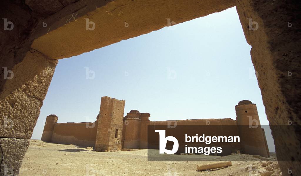 Near Palmyra, Syria, Qasr Al-Hayr Al-Sharqi (photo)