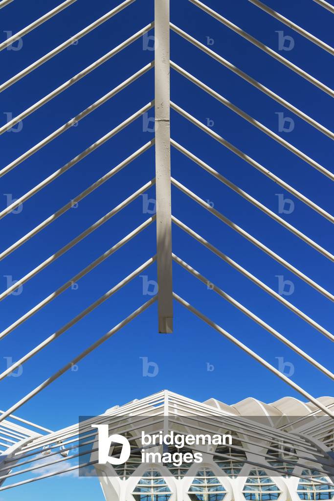 Looking Through Detail of Umbracle To El Museu De Les Ciencies Principe Felipe in Ciudad De Las Artes Y Las Ciencias (City of Arts and Sciences), Valencia, Spain (photo)