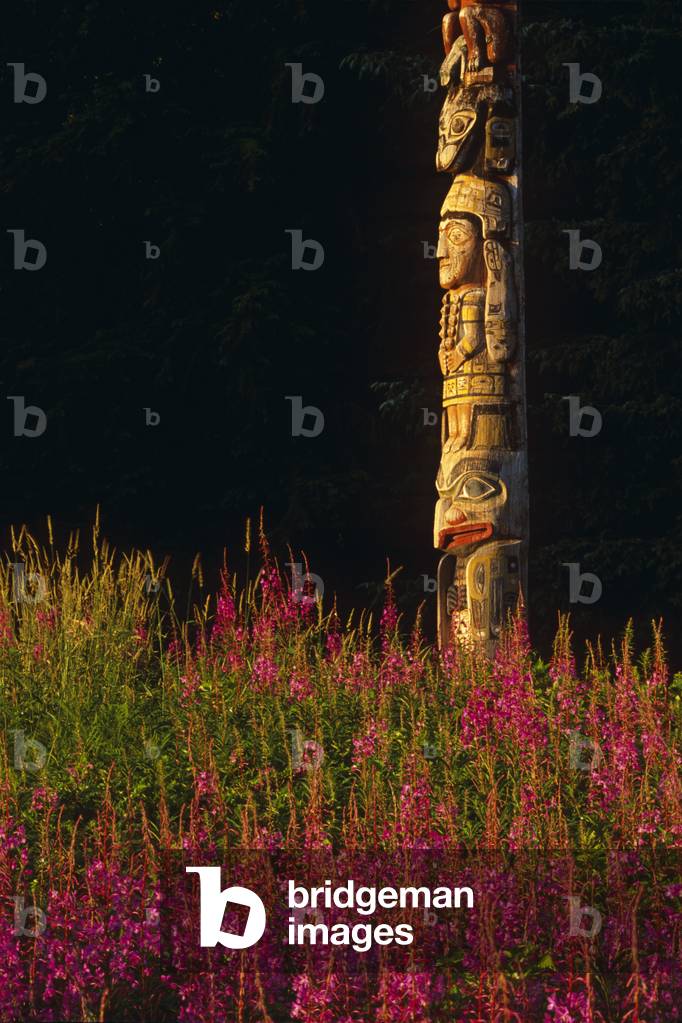 Totem Pole And Fireweed At Totem Bight State Park In Ketchikan In Southeast, Alaska During Summer (photo)