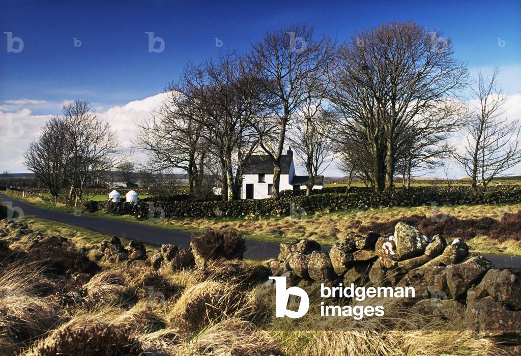 Co Antrim, Ireland; Cottage Near A Rural Road (photo)