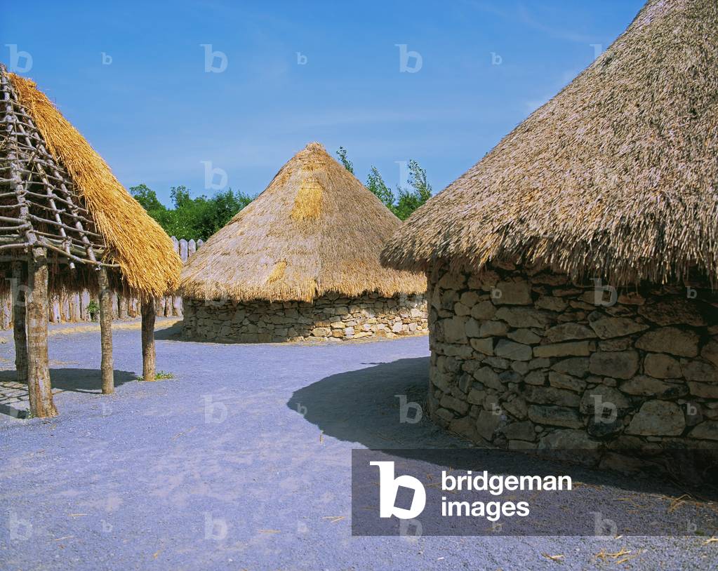 Ringfort, Irish National Heritage Park, Co Wexford, Ireland (photo)