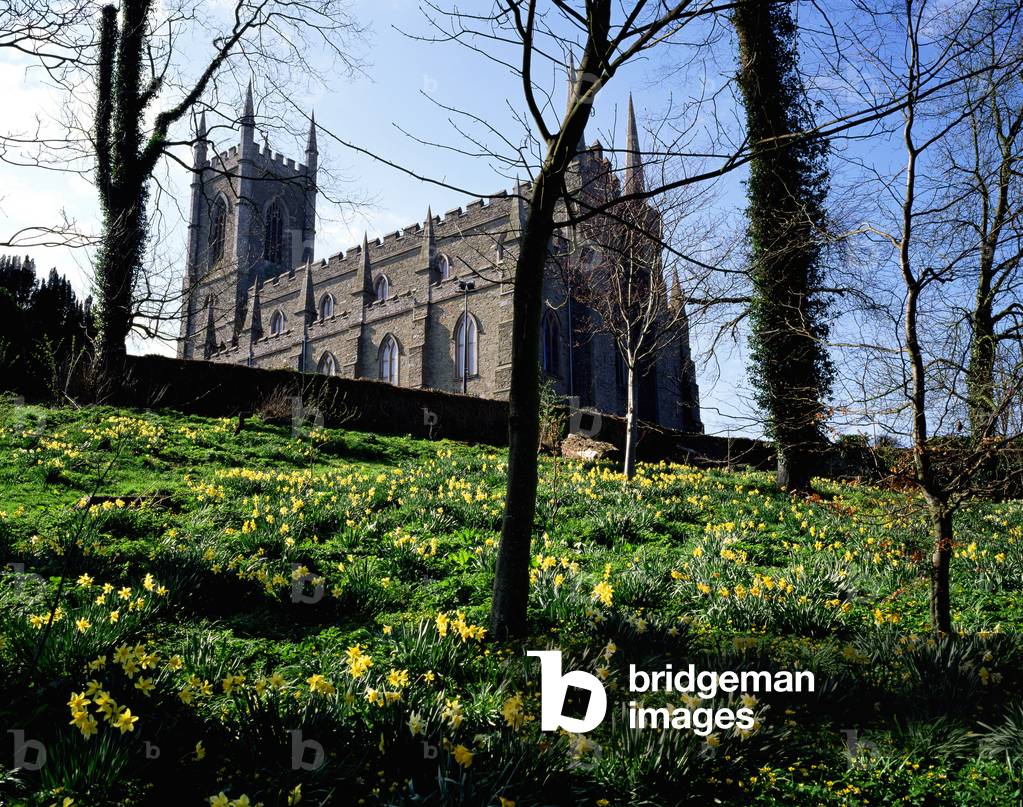 Low Angle View Of A Cathedral, Down Cathedral, Downpatrick, County Down, Northern Ireland (photo)