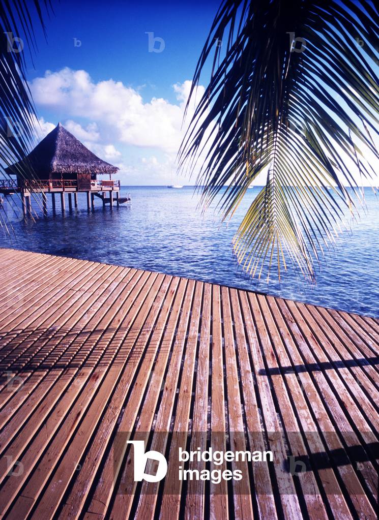 Palm Leaves over Deck by Sea with Stilted Hut in Background, French Polynesia (photo)