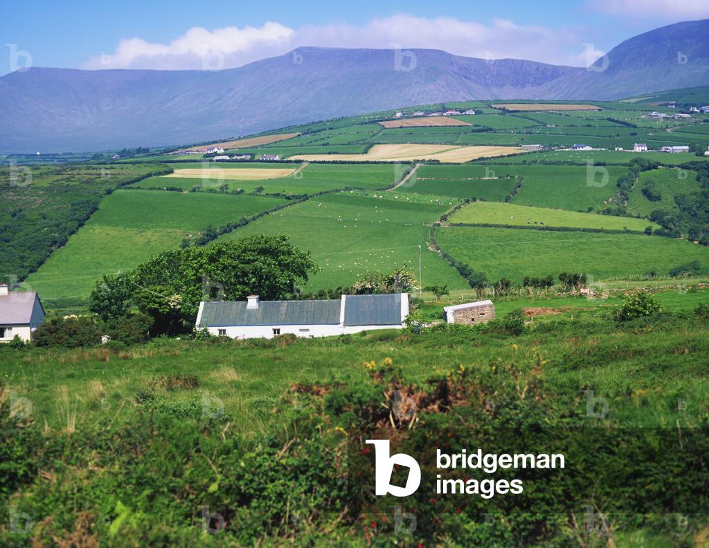 Near Anascaul,Co Kerry,Ireland;Traditional Cottages With Patchwork Landscape (photo)