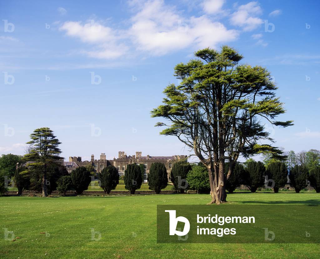 Ardgillan Demesne Co Dublin, The House & Pleasure Grounds, & Lebanon Cedar Summer (photo)