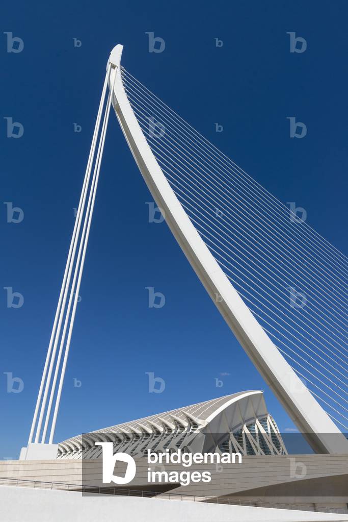 Part of El Pont De L'assut De L'or and El Museu De Les Ciencies Principe Felipe in Ciudad De Las Artes Y Las Ciencias (City of Arts and Sciences), Valencia, Spain (photo)