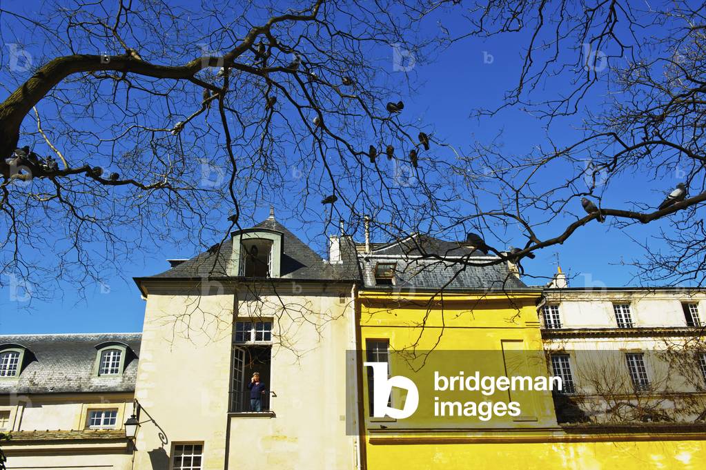 A bright yellow building in the historical district of Marais, Paris, France (photo)