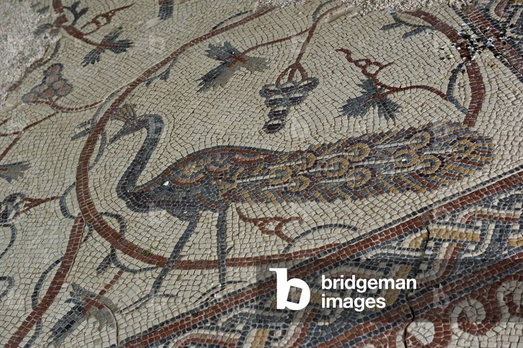 Early Christian mosaic in the ruins of the church on Mt Nebo, Jordan (photo)