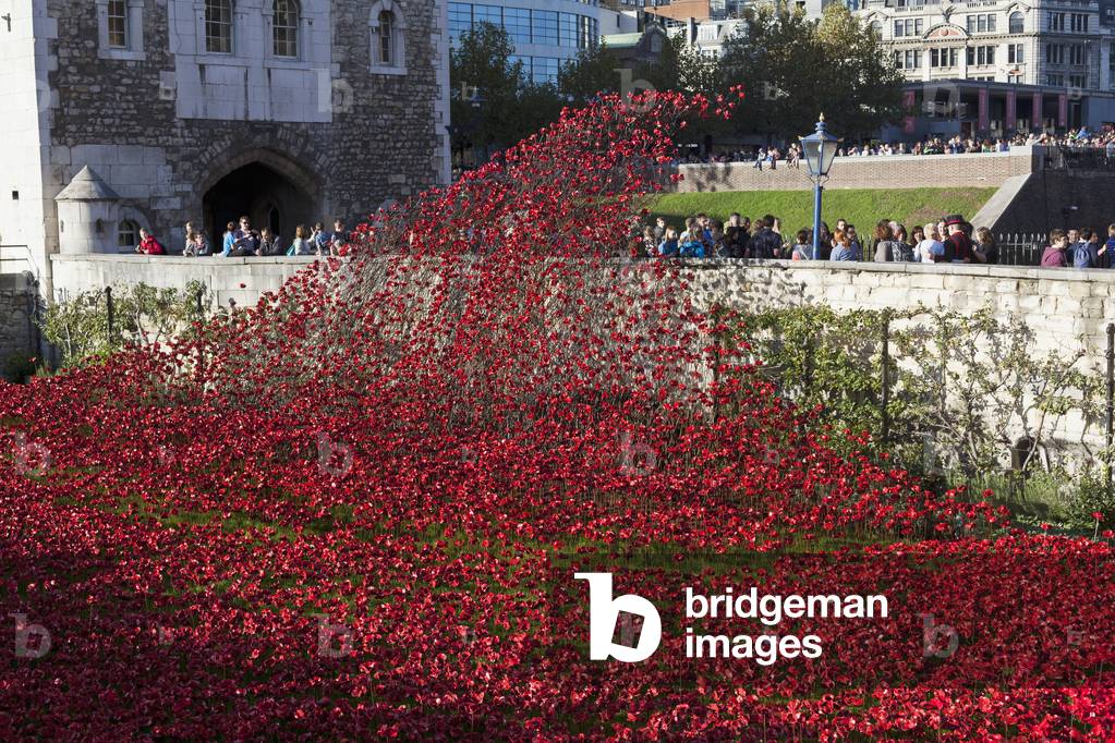 Ceramic poppies at the Tower of London commemorating the 100th anniversary of World War One, London, UK, 2014 (photo)