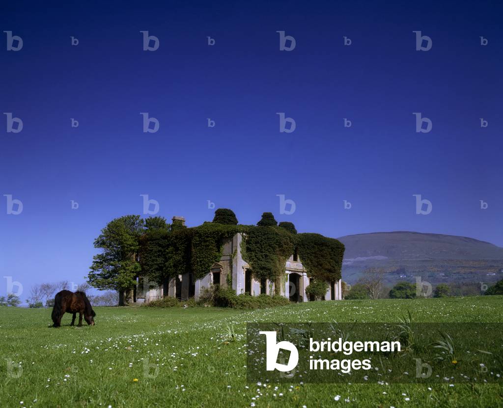 The Library, Dundalk, Co Louth, Ireland (photo)