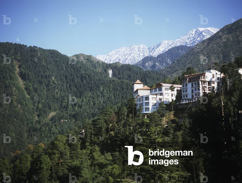 View Over Dharamsala City and Himalayas, Dharamsala, Himachal Pradesh, India (photo)