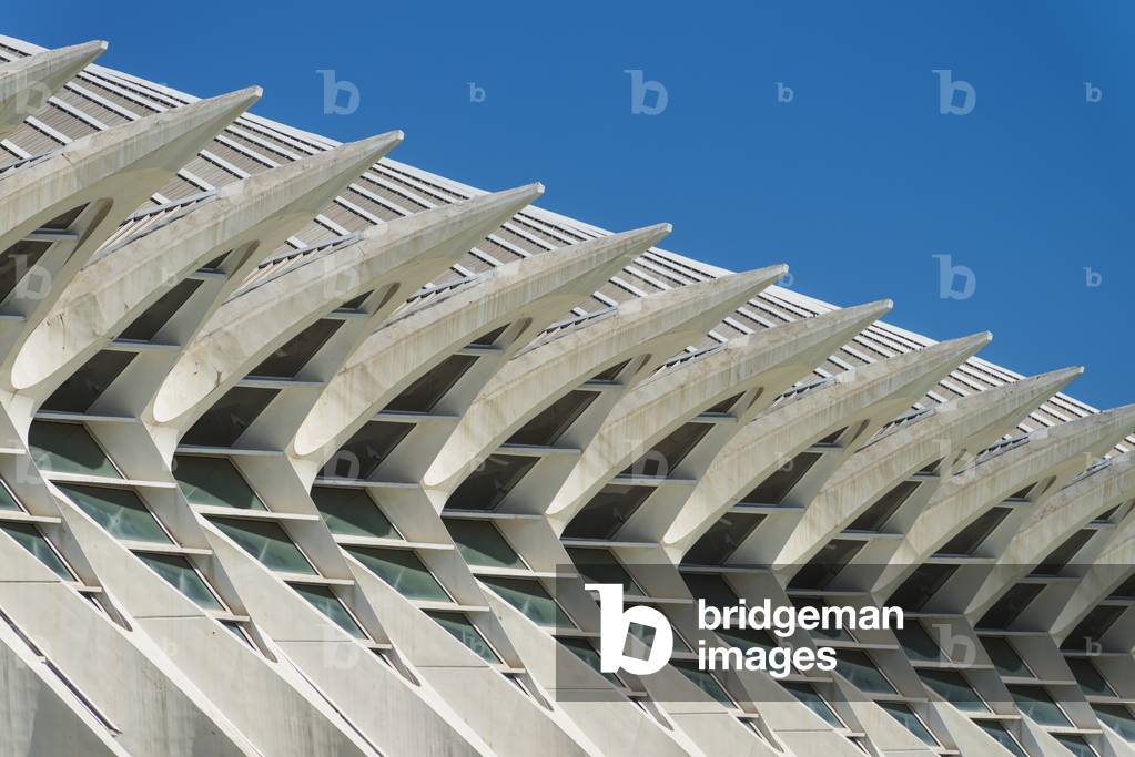 Detail of El Museu De Les Ciencies Principe Felipe in Ciudad De Las Artes Y Las Ciencias (City of Arts and Sciences), Valencia, Spain (photo)