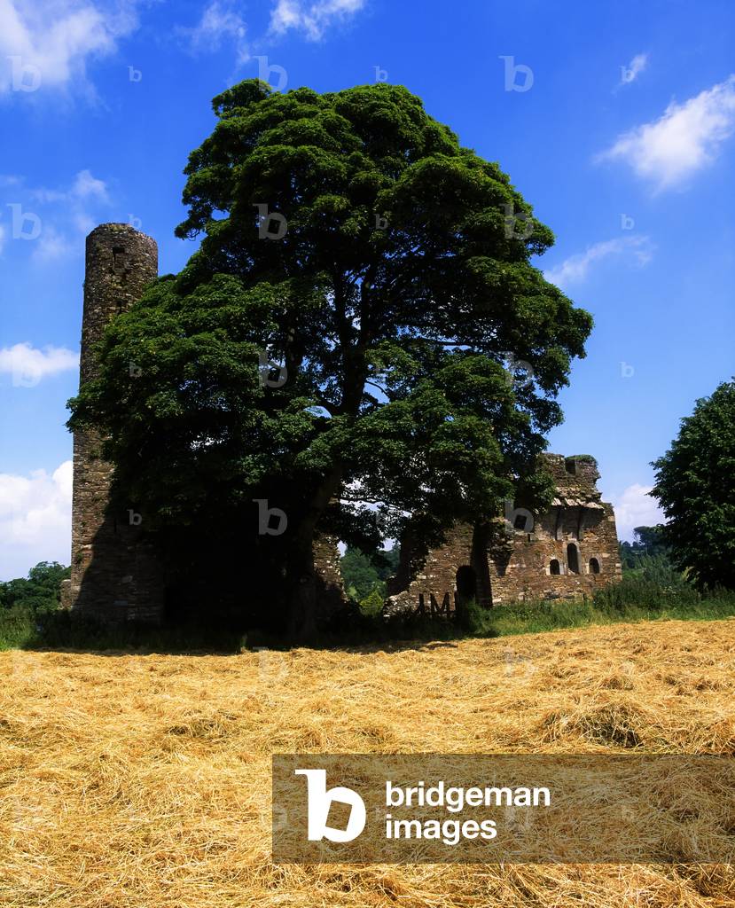 Ferns, Co Wexford, Ireland, St Mary's Abbey (photo)