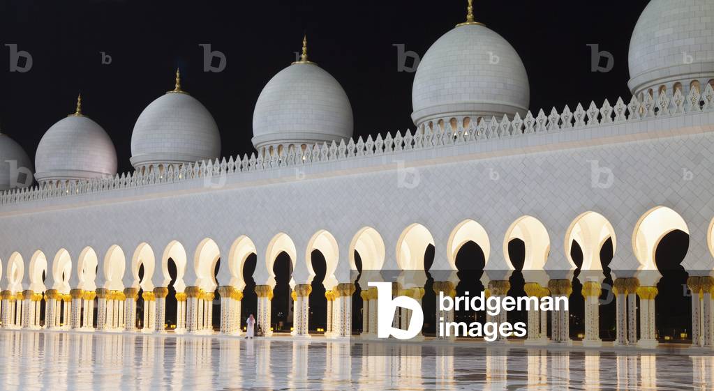 Sheikh Zayed Grand Mosque at night, Abu Dhabi, United Arab Emirates (photo)