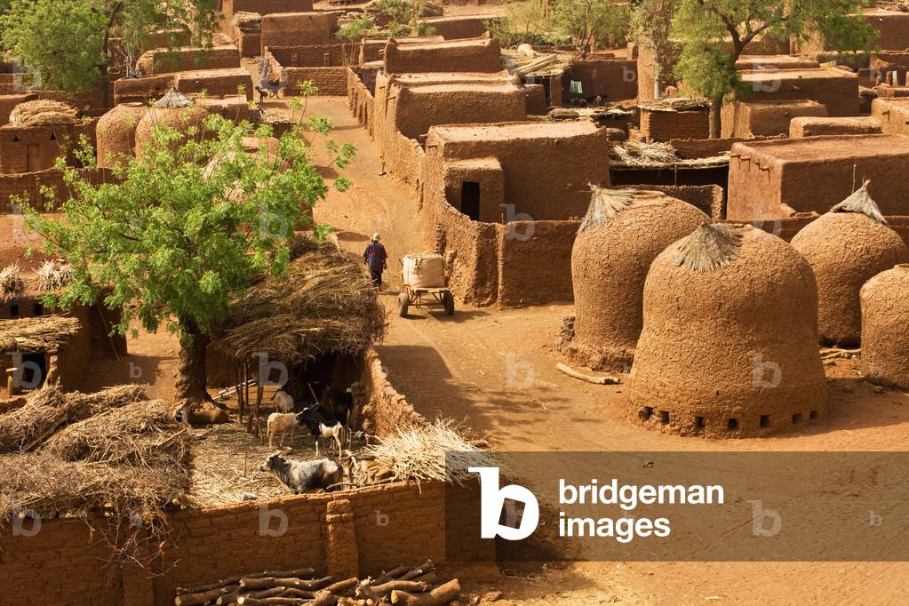 Niger, Central Niger, Tahoa, from rooftop of its World famous Friday Mosque, Yaama Village, Aerial view of Yaama Village (photo)