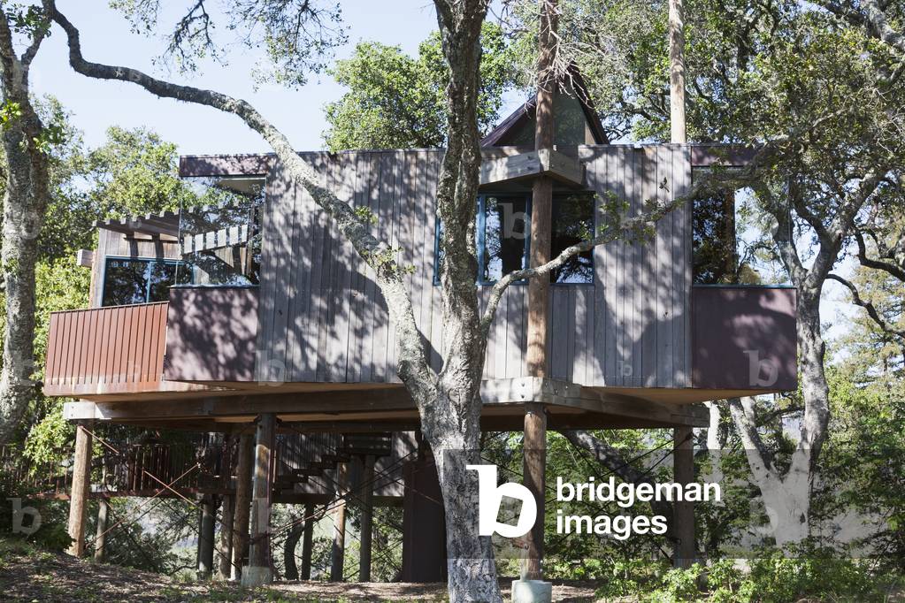 A house on stilts, California, USA (photo)