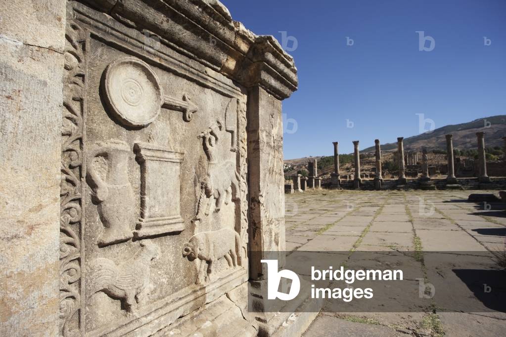 Roman ruins of the old Forum, Djemila, Algeria (photo)