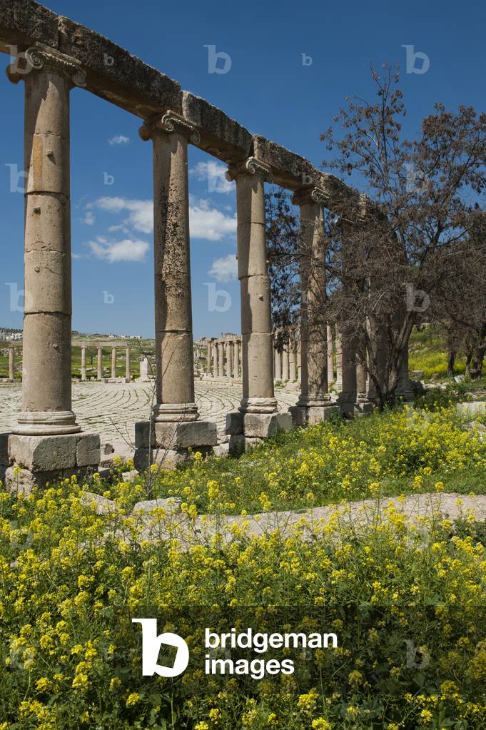 The Forum, Roman ruins, Jerash, Jordan (photo)