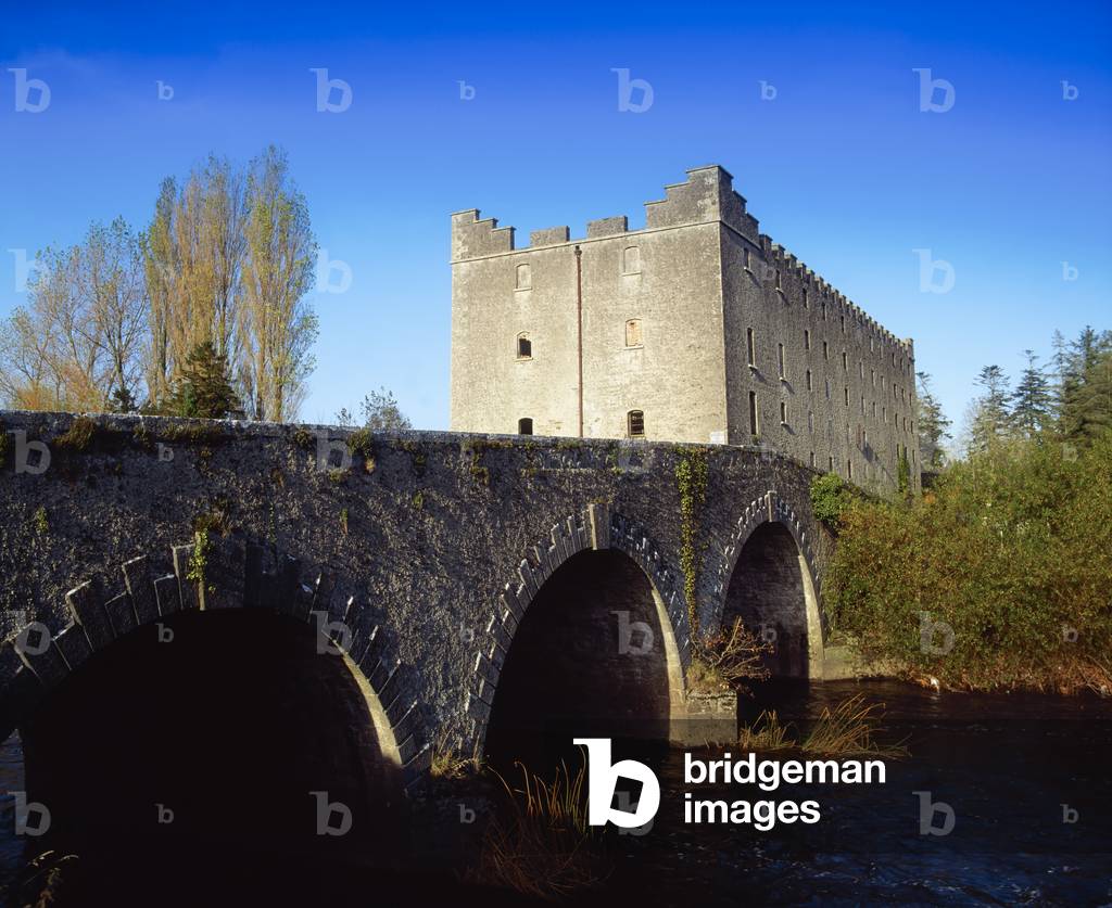 Milford Mills, Co Carlow, Ireland; 19Th Century Mill (One Of The First To Generate Electric Power In Ireland) (photo)