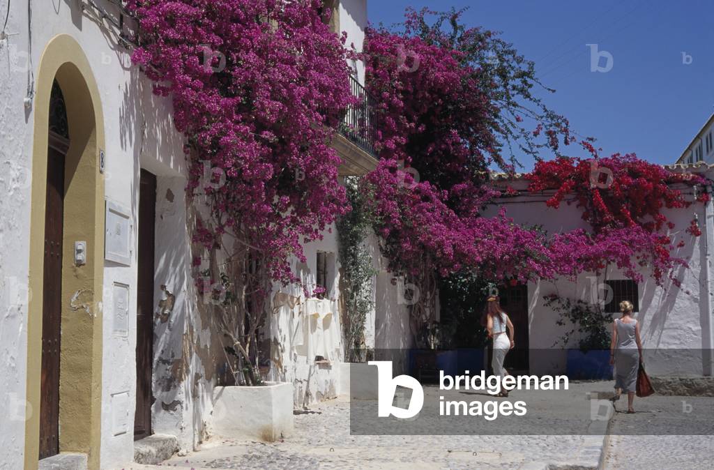 Ibiza Flea Market (photo)