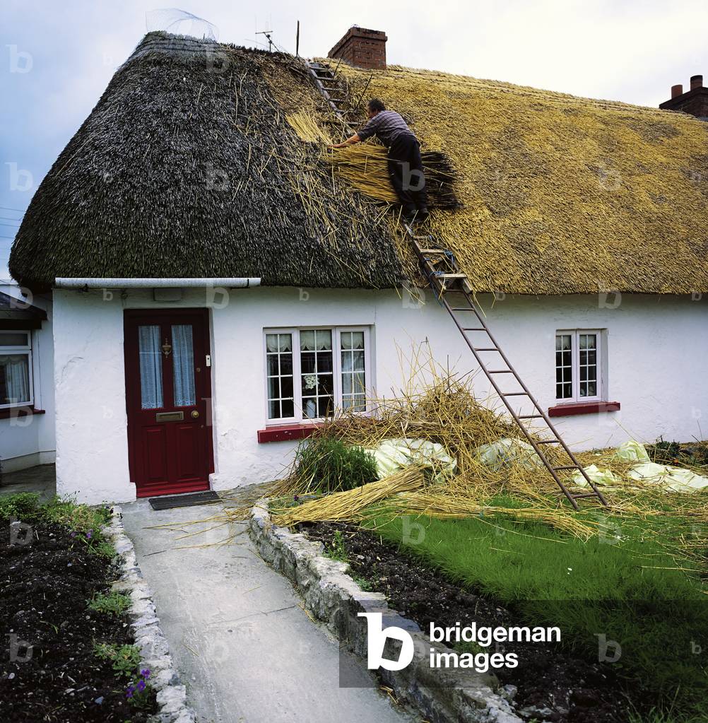 Adare, Co Limerick, Ireland; Thatching A Roof (photo)