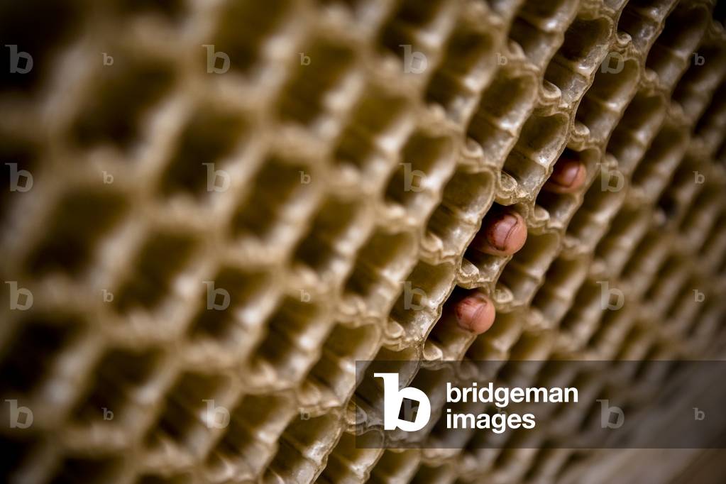 Fingers poking through a Screened Barricade, Delhi India (photo)