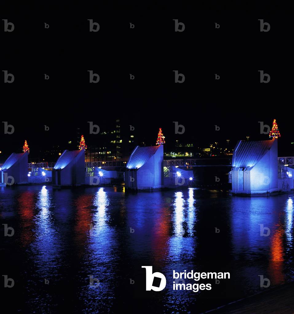 Lagan Weir, Belfast, Co Antrim, Ireland, Christmas Trees Behind A Dam (photo)
