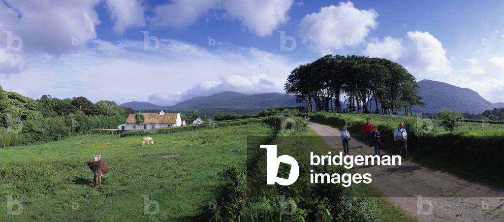 Muckross Trade Farm,Killarney,Co Kerry,Ireland;Panoramic View Of Muckross Trade Farm (photo)