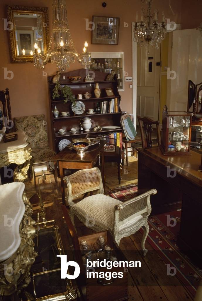 Interior Of A Antique Shop (photo)
