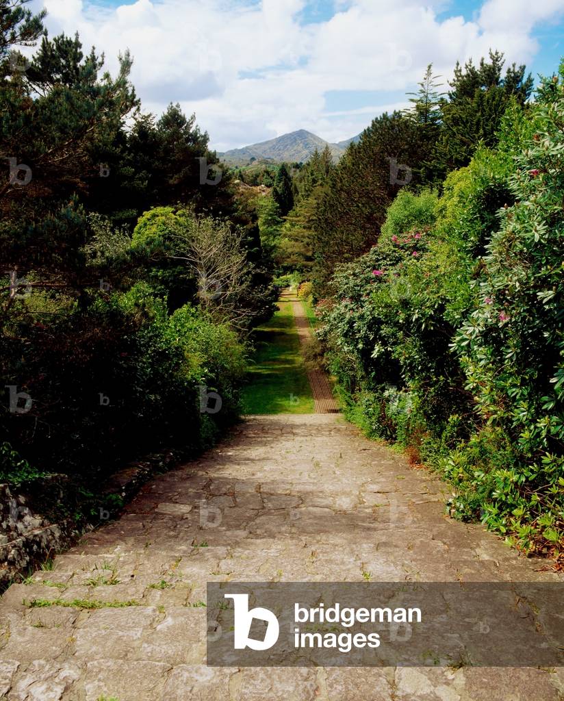 Ilnacullen, Co Cork, Ireland, Happy Valley, From Martello Tower Steps, Spring (photo)