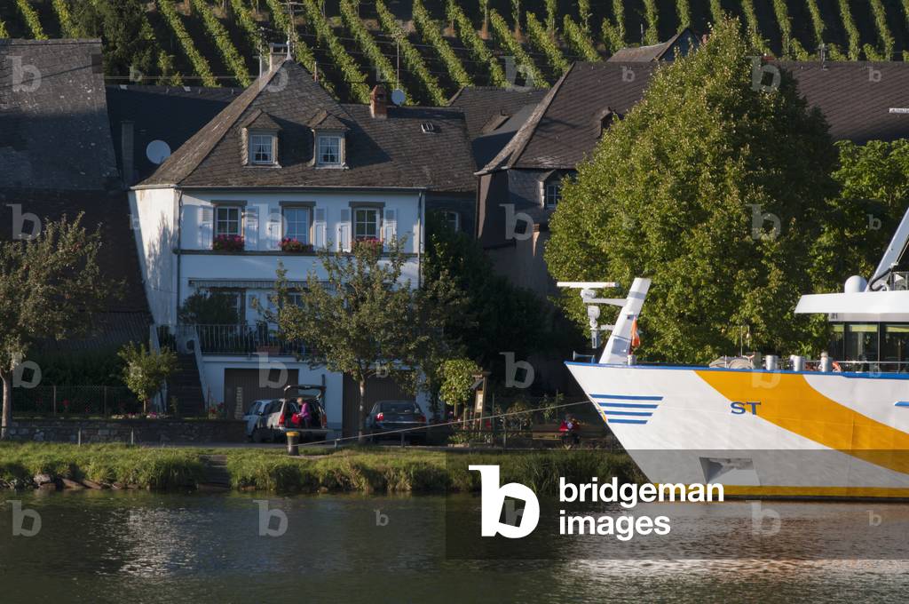 Mosel valley, Piesport, Rhineland-Palatinate, Germany (photo)