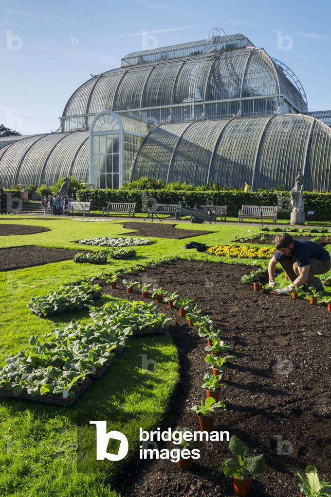 Palm House, Kew Gardens, London, England, UK  (photo)