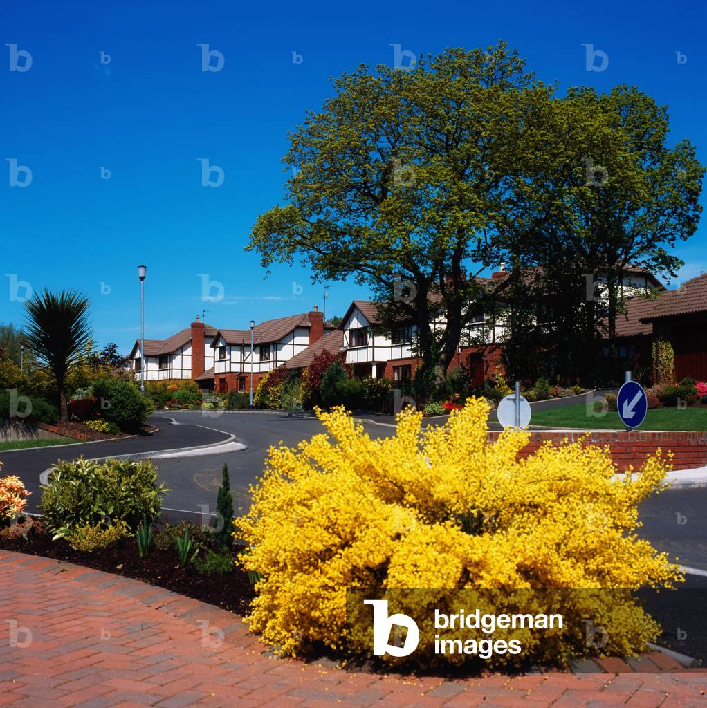 Ireland, Urban Housing Development (photo)