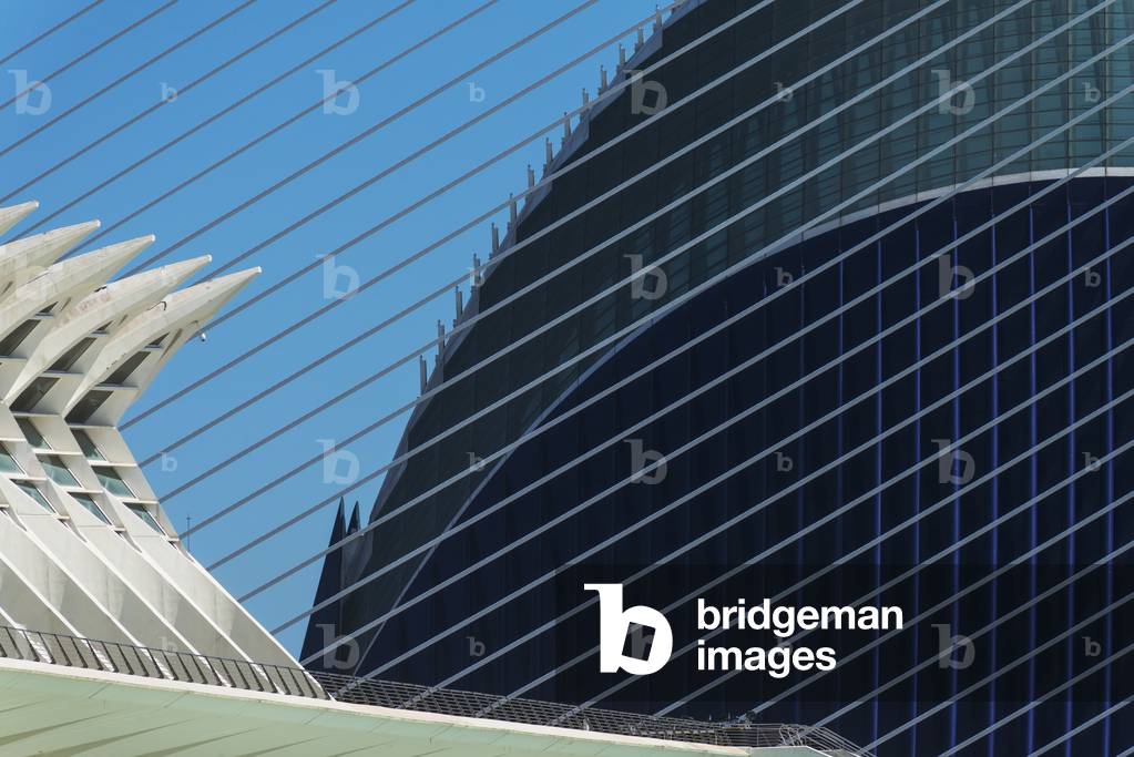 Detail of El Museu De Les Ciencies Principe Felipe with El Pont De L'assut De L'or and L'agora on Right in City of Arts and Sciences, Valencia, Spain (photo)