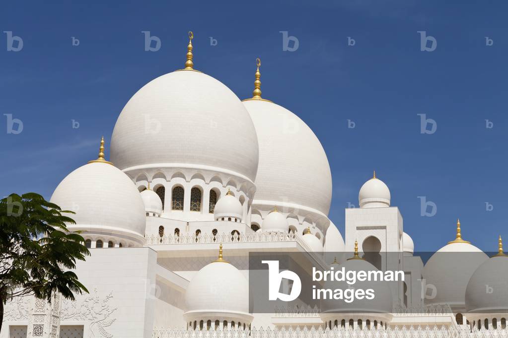 Sheikh Zayed Grand Mosque, Abu Dhabi, United Arab Emirates (photo)