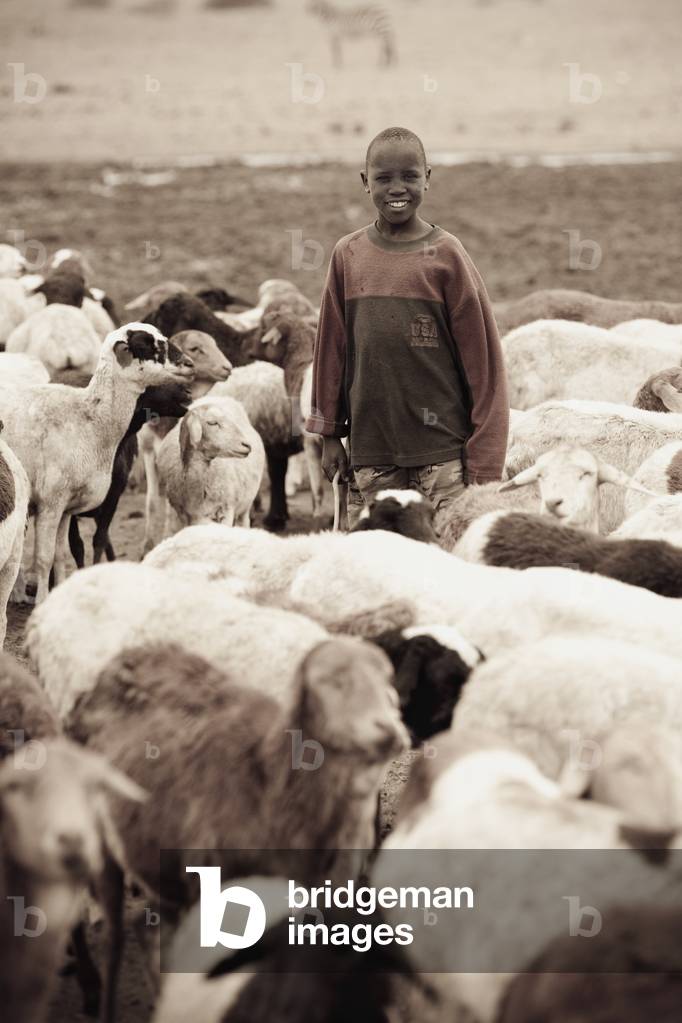 Boy with Goats, Kenya, Africa (photo)
