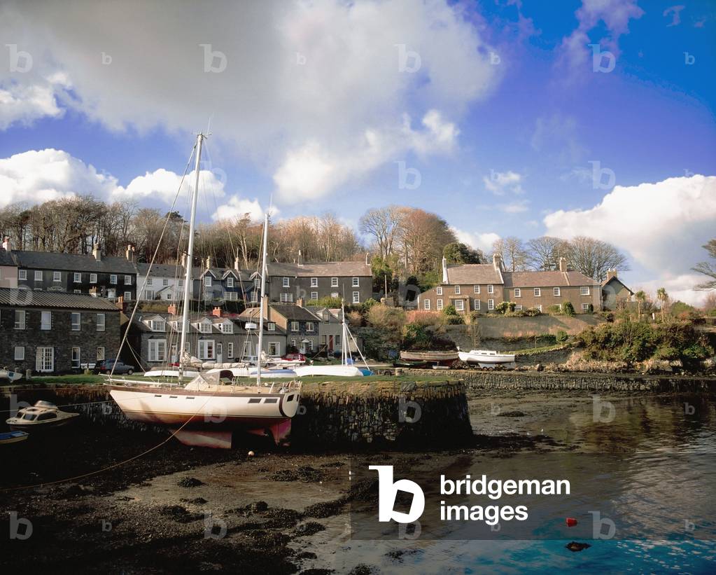 Strangford, Co Down, Northern Ireland; Strangford Harbor And Village (photo)