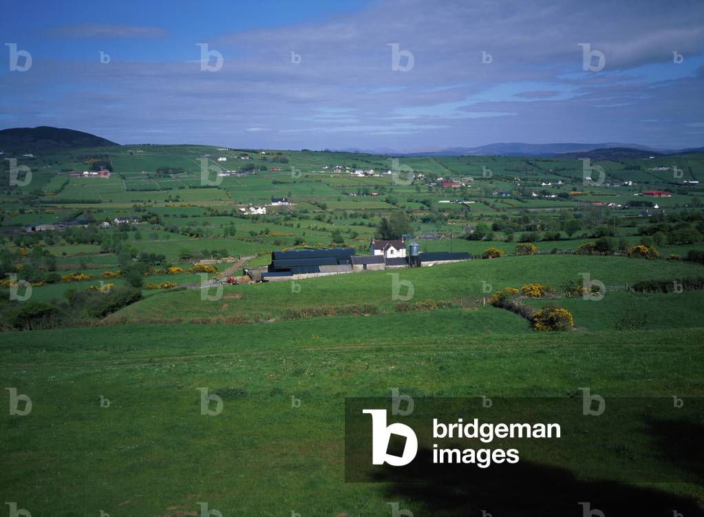 Hilltown,Co Down,Northern Ireland;Houses Among Fields (photo)