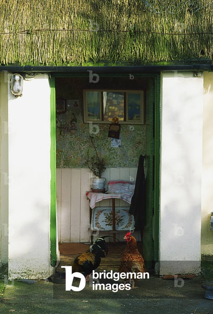 Co Wexford, Ireland; Cottage Near Wexford (photo)