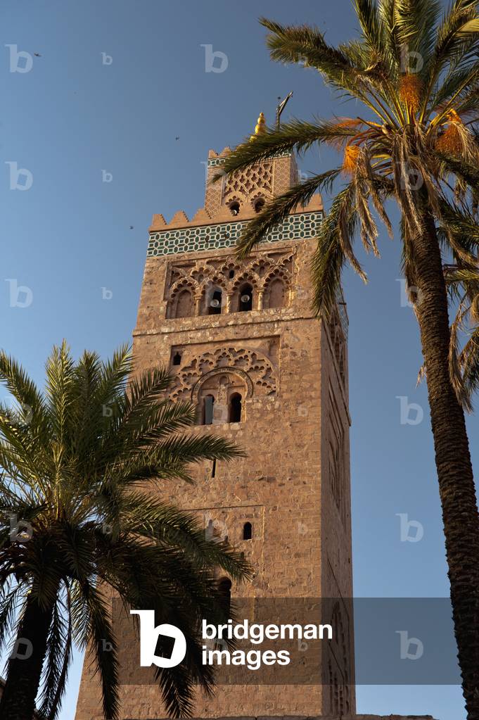 Morocco, Looking through date palms to minaret of Koutobia Mosque at dawn, Marrakesh (photo)