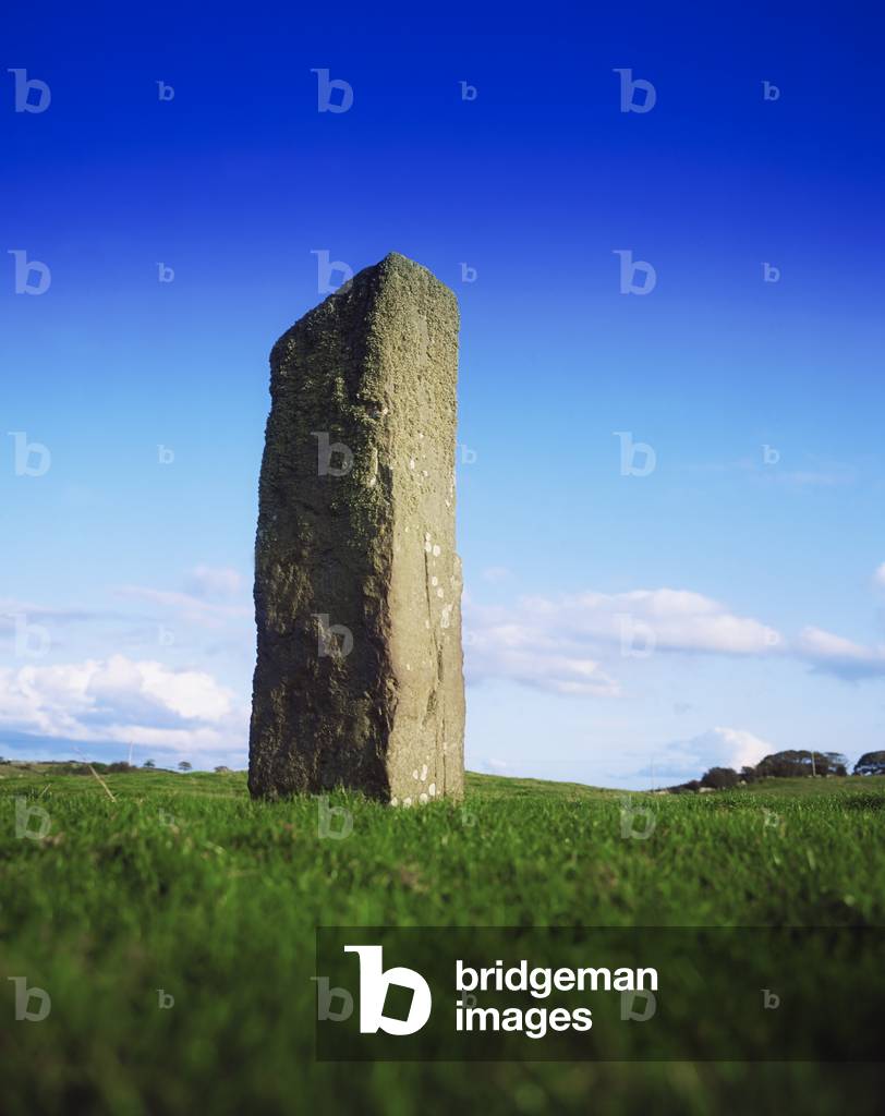 Ogham Stone, Breastagh, Killala, Co Mayo, Ireland; Standing Stone Believed To Be From The Bronze Age With An Ogham Inscription (photo)