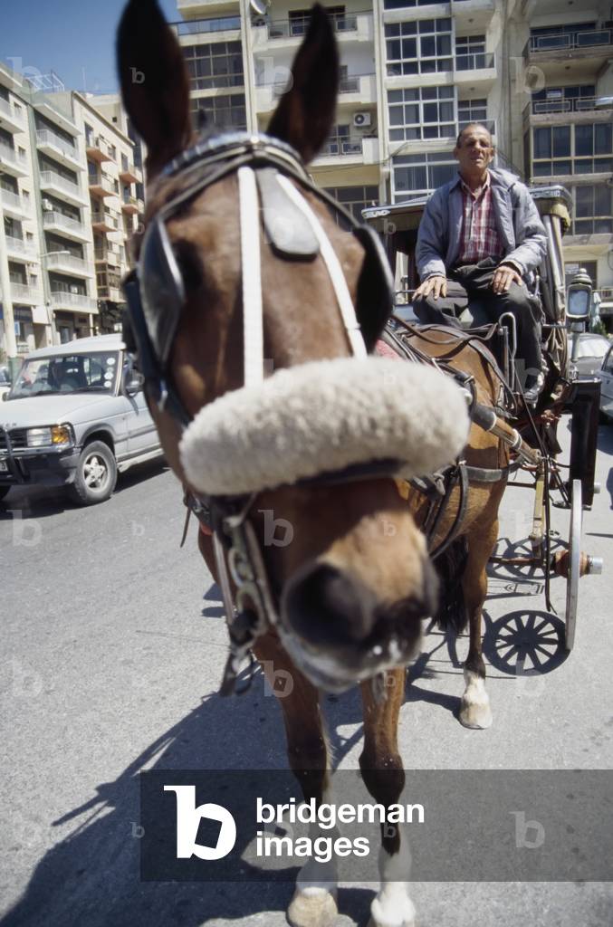 Horse  and Cart Taxi (photo)