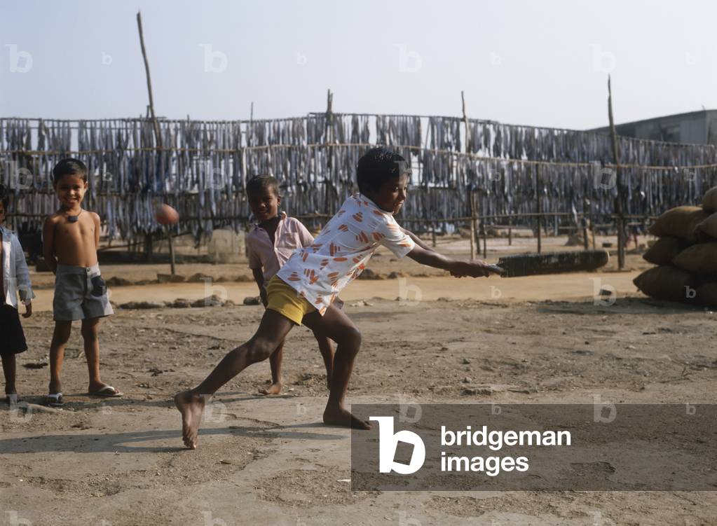 Street Cricket, Maharashtra, India (photo)